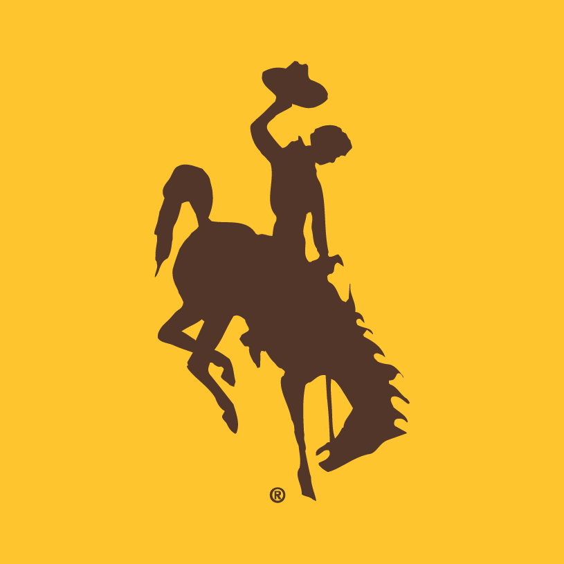 Wyoming Cowboys 2006-Pres Alternate Logo diy fabric transfer